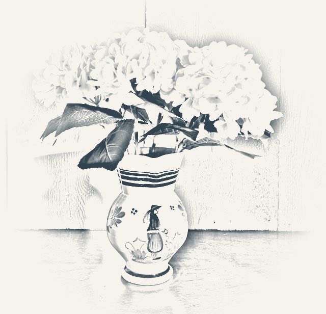 Pencil sketch of hydrangeas in the family&rsquo;s Breton pitcher